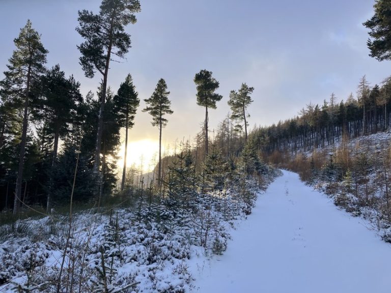 Temperaturi mai ridicate decât normalele, prognozate pentru ianuarie