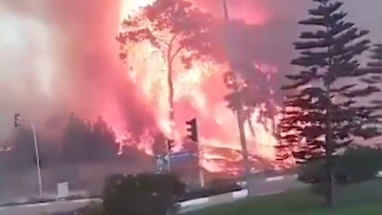 Zelenski propune trimiterea pompierilor ucraineni în Los Angeles