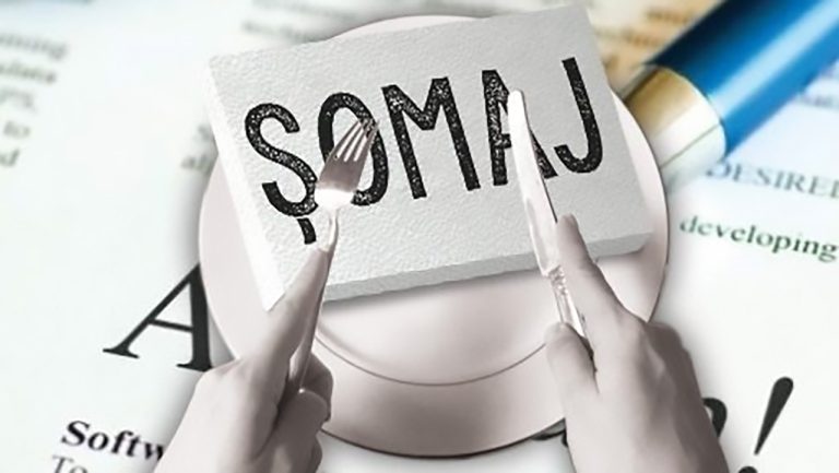 Localitatea din județ cu un sfert șomeri.