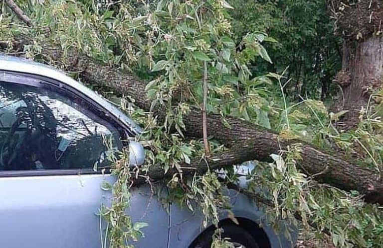 Vijeliile fac ravagii în România: bătrân ucis în Vrancea