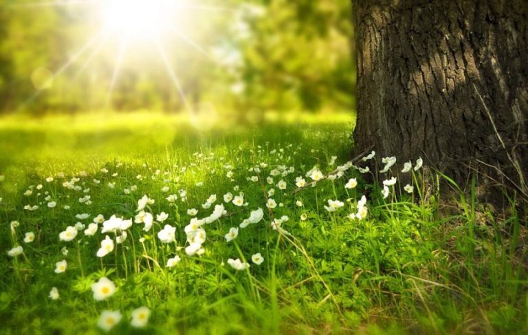 Vreme plăcută și caldă, până la 23°C.