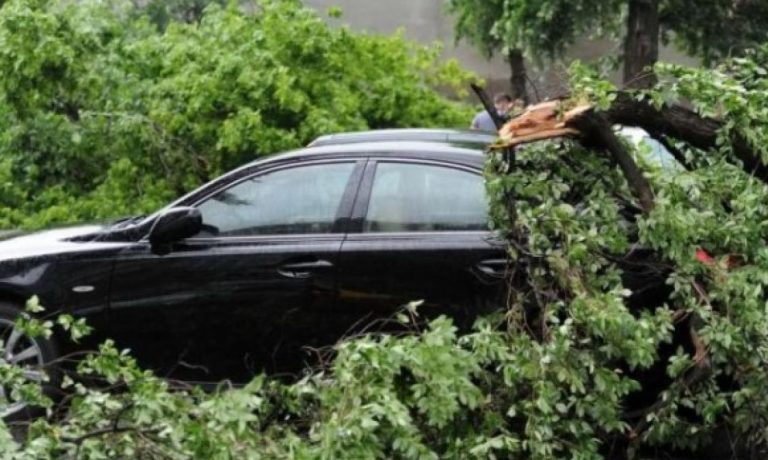 Misiune dinamică – Degajare copac căzut pe mașină în Iași