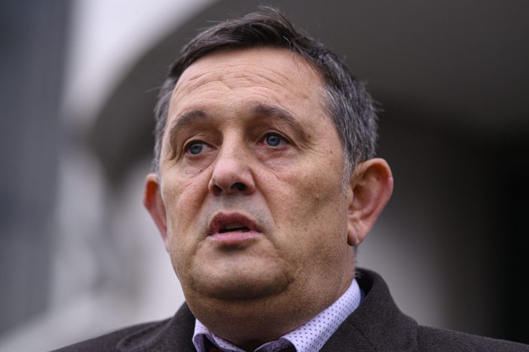 Piperea (AUR): Partidele mimează reforma, țara se scufundă