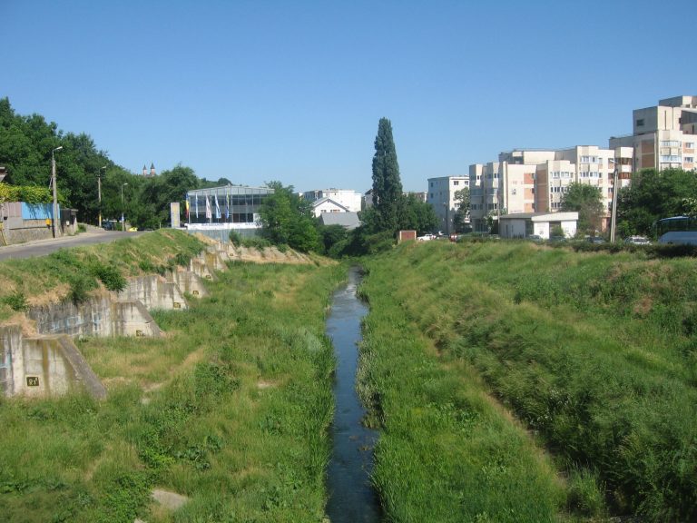Câte râuri străbat municipiul Iași și județul?