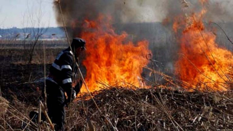 Incendiu de vegetație uscată în Șipote