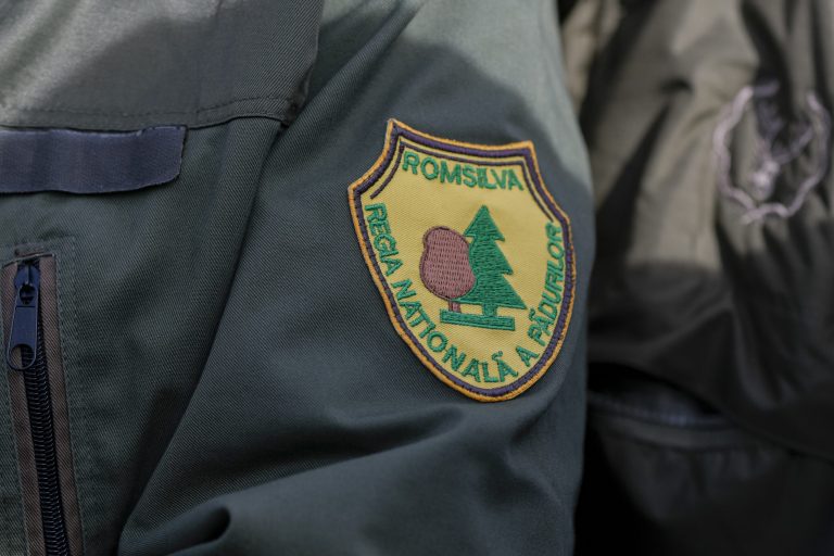 Romsilva economisește anual 19 milioane lei prin reducerea directorilor