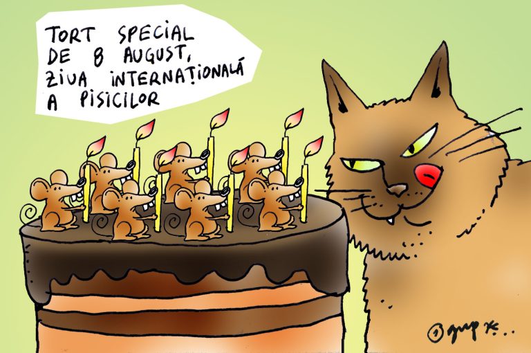 Azi este Ziua Internațională a Pisicii