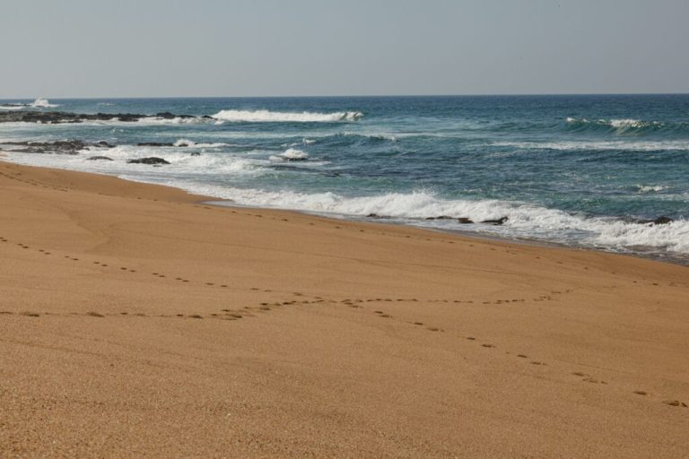 Coreea de Nord a primit turiști străini din Rusia.