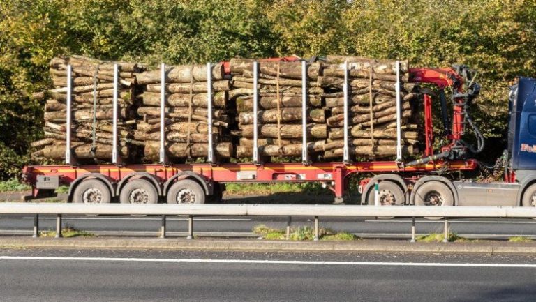 Lemn confiscat la Lungani și Moțca, doi bărbați amendați