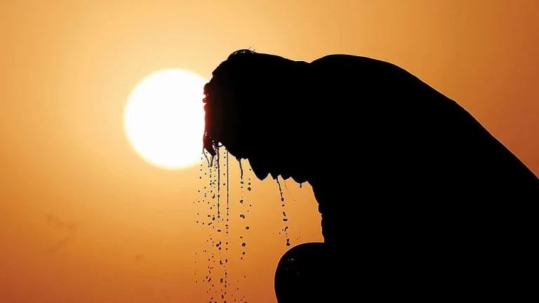 „Schimbările climatice în vara anului 2025”