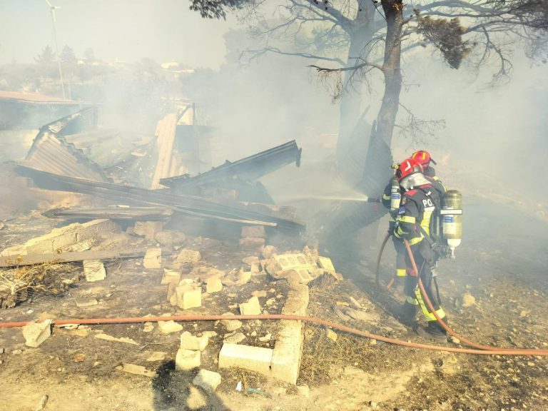 Studiu: Schimbările climatice au agravat incendiile din Turcia