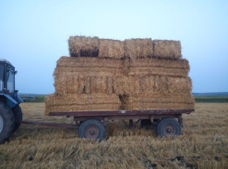 Un bărbat a murit, prins în utilaj de fân