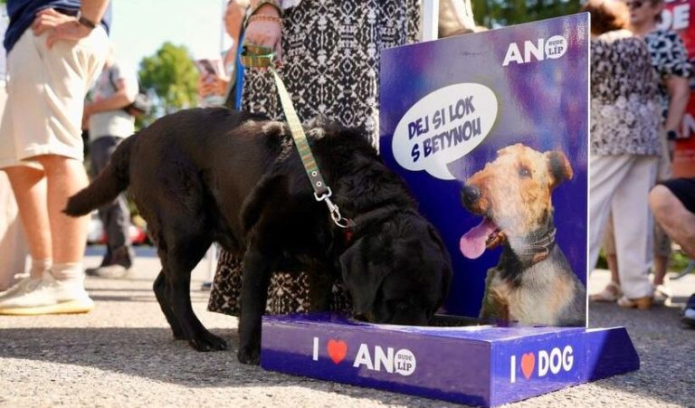 Un cățeluș șochează campania electorală din Cehia