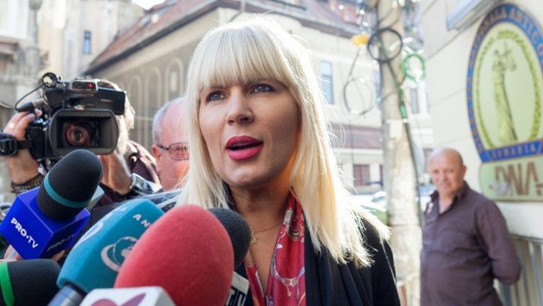 Elena Udrea: Nu mai există un lider ocult ca Florian Coldea