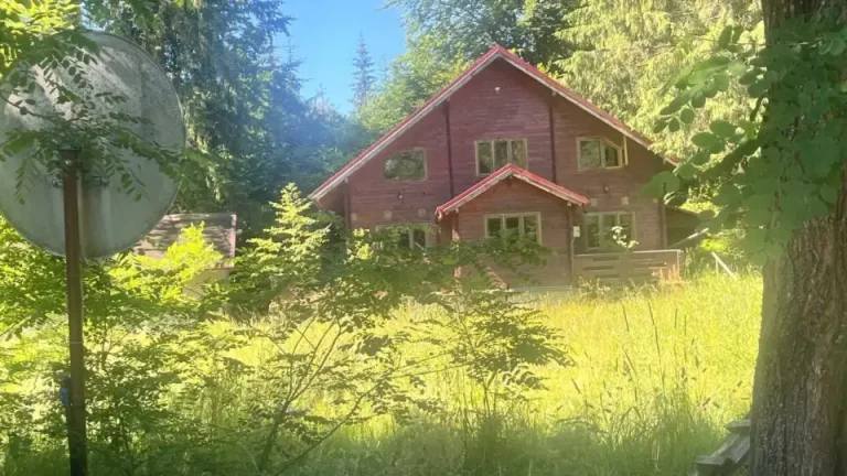 Bunurile ascunse ale „fabricii de permise” din Suceava, vândute de ANABI.