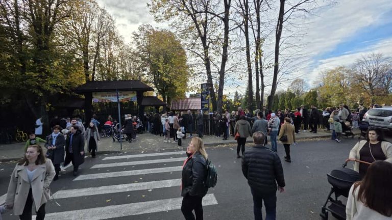 Copoul, aglomerat într-o zi de toamnă. Cozi la expoziția de crizanteme.