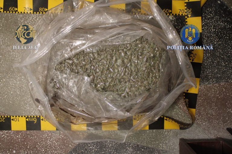 31 de kilograme de cannabis transportate pe stradă în Botoșani