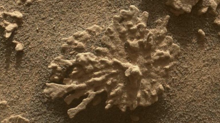 NASA afirmă că a descoperit pe Marte un „vizitator” extraterestru