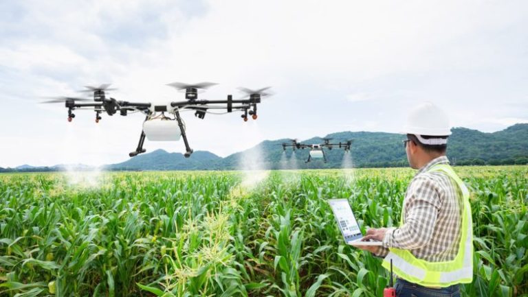 România, a cincea suprafață agricolă din UE, pierde valoare
