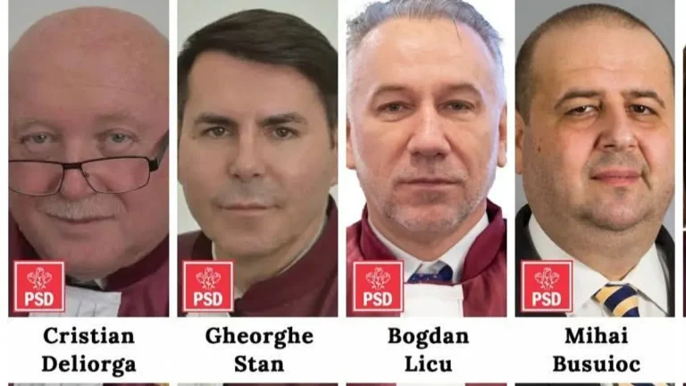 Cei 4 pesediști din CCR: plagiator și tablagiu