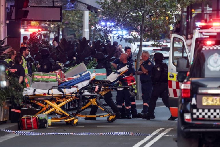 Cimitir musulman profanat cu capete de porc în Sydney