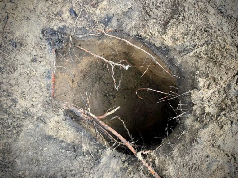 Imigranți au trecut granița în Polonia printr-un tunel