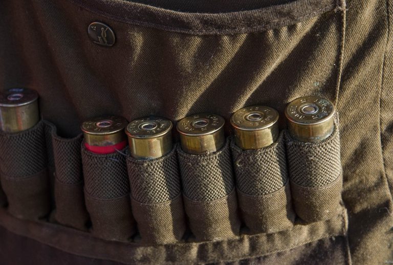 Olanda va achiziționa arme americane pentru Ucraina