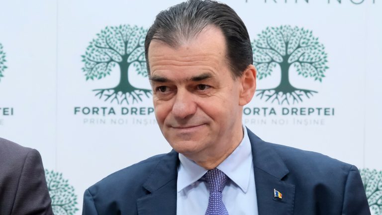 Partidul Forţa Dreptei ar putea fuziona cu PNL
