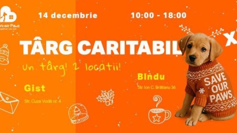Târg caritabil: „Misiune comună pentru a salva suflete”