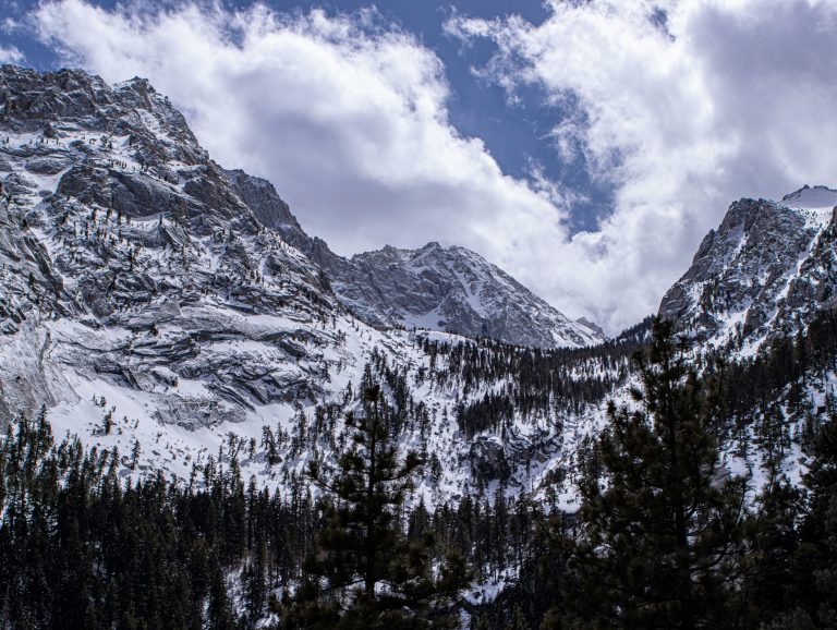 Autoritățile din SUA cercetează decesul a opt schiori surprinși de o avalanșă în Sierra Nevada.