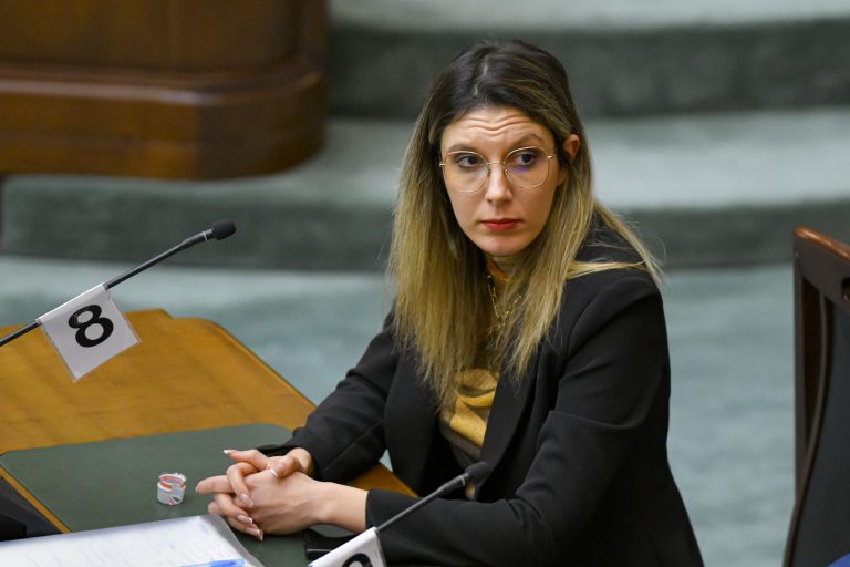 Diana Buzoianu a luat parte la Consiliul de Mediu din Cipru: „Economia circulară nu este doar un obiectiv de mediu, ci o componentă esențială care poate sprijini economia națională”