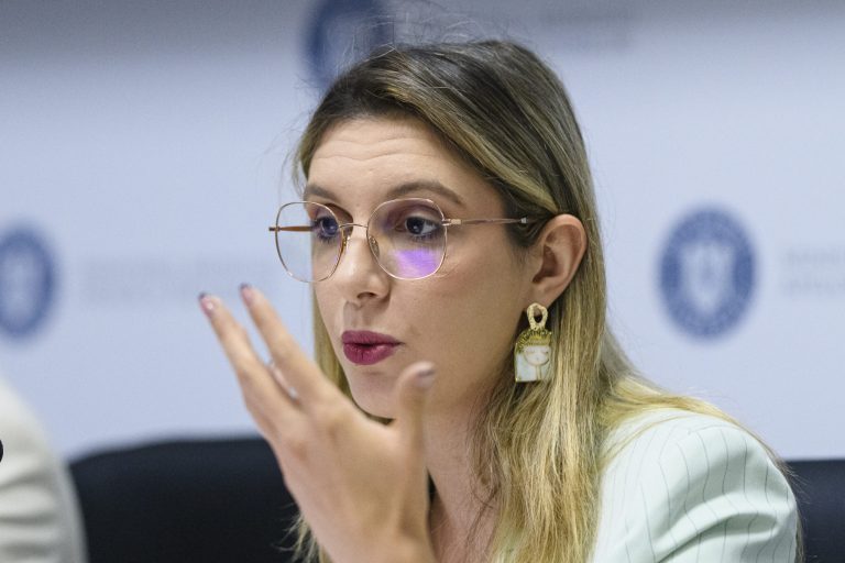 Guvernul grăbește procedurile de mediu pentru investitori și anunță digitalizarea totală a proceselor administrative.