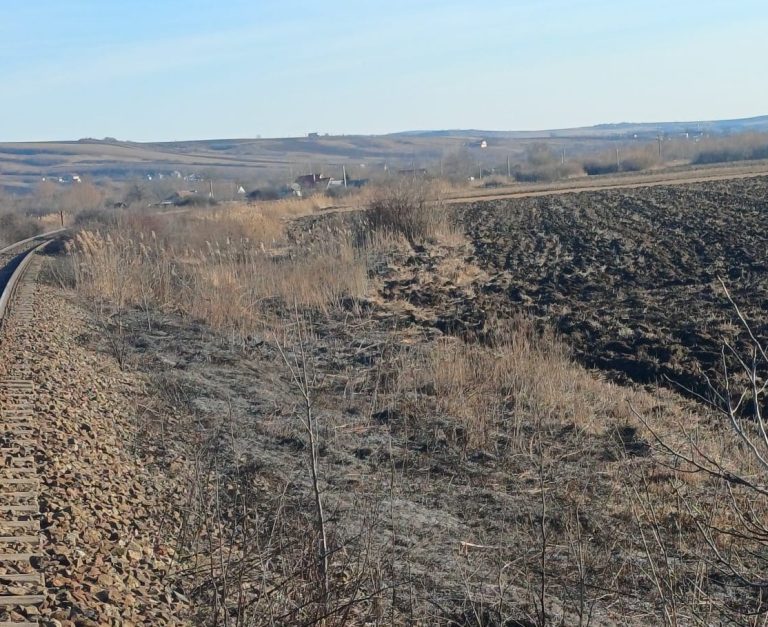 Pompierii acționează în județul Iași pentru a stinge un incendiu de vegetație uscată