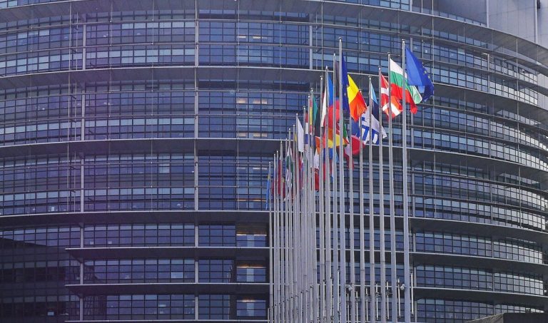 Europarlamentarele însărcinate vor putea vota prin procură / Danemarca, Suedia și Olanda vor permite votul prin procură și pentru bărbați.