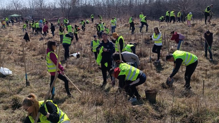 „Frați ai Codrului”: Acțiune de împădurire la Schitu Duca pentru a celebra Unirea Basarabiei cu România