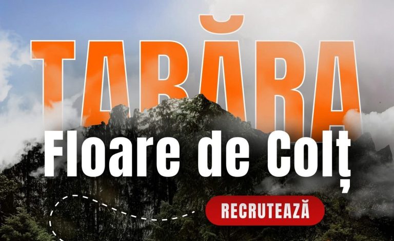 Tabăra „Floare de Colț” a Arhiepiscopiei Iașilor caută voluntari pentru vara 2026