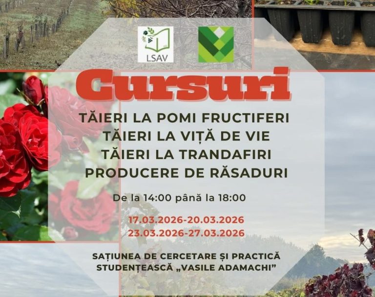 Cursuri practice de tăiere a pomilor fructiferi, viței de vie și de producere a răsadurilor, organizate de USV Iași.