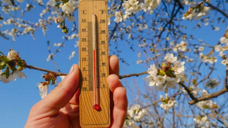 Prima decadă a lunii martie aduce zile însorite și temperaturi mai mari decât cele obișnuite pentru această perioadă.