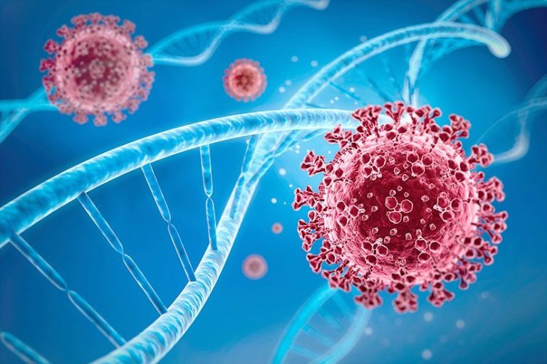 De ce unele virusuri rămân în organism pe parcursul întregii vieți: un studiu a identificat factorii genetici implicați