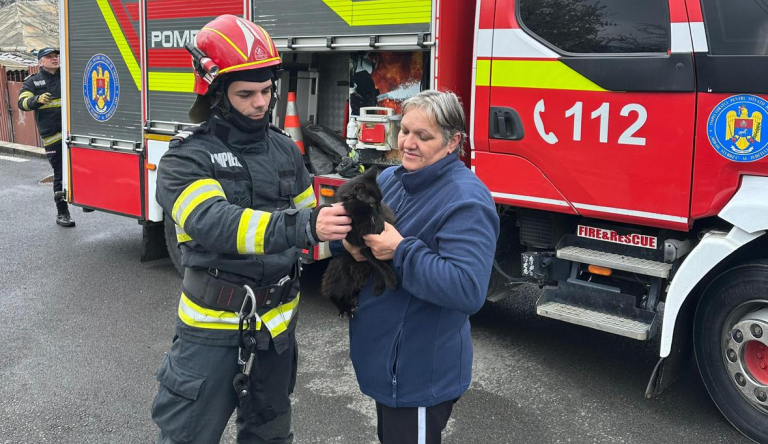FOTO/VIDEO | Intervenție emoționantă în Vinerea Mare: pompierii din Iași au salvat o pisică prinsă într-un brad