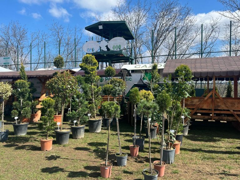 Garden Fest de la USV Iași revine în acest weekend pe Arena USV: peste 50 de expozanți și ateliere pentru toate vârstele.