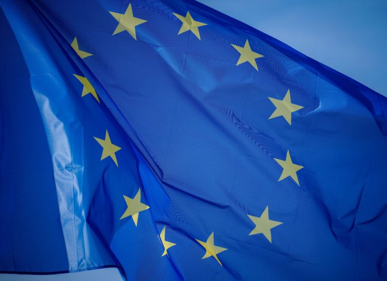 Înlăturarea steagurilor UE este o „trădare”, le spune ministrul francez de Externe primarilor de extremă dreapta.