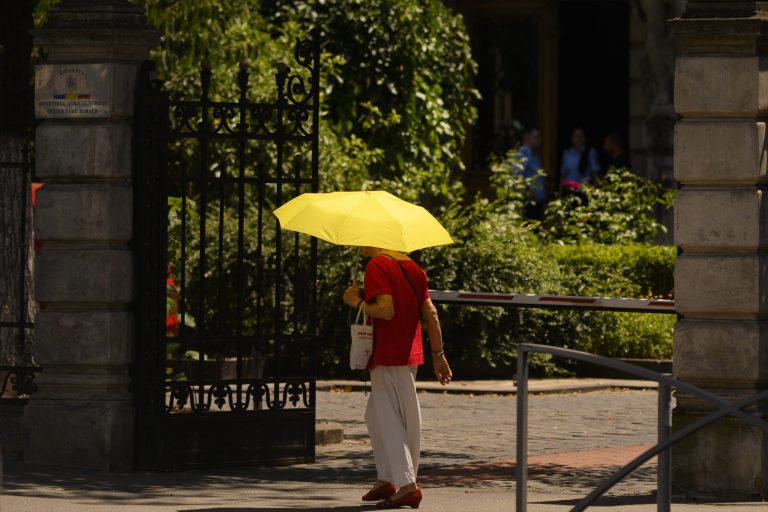 1.000 de decese suplimentare în Franța din cauza valului de căldură fără precedent