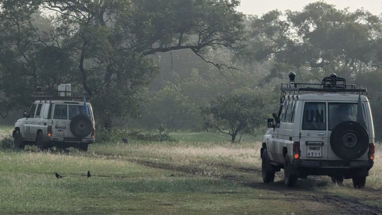 Doi membri ai forțelor ONU de menținere a păcii au fost uciși într-o ambuscadă în Sudanul de Sud