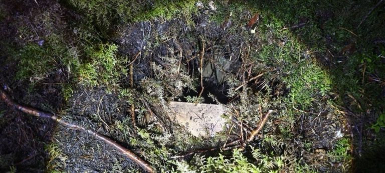 Tuneluri sub granița UE: 28 de migranți au trecut din Belarus în Letonia printr-un traseu ascuns de vegetație