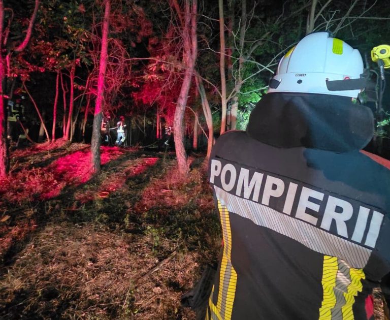 UE mobilizează resurse pentru incendiile din Serbia. România se numără printre țările care oferă sprijin.
