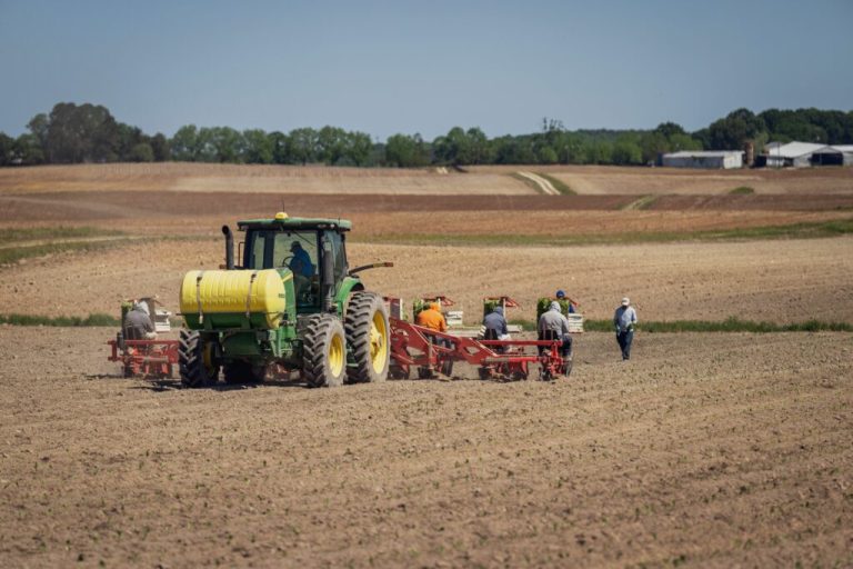 Ucraina solicită cote mai mari pentru exporturile agricole fără taxe în UE. Negocierile cu Bruxelles-ul ar putea începe în septembrie.