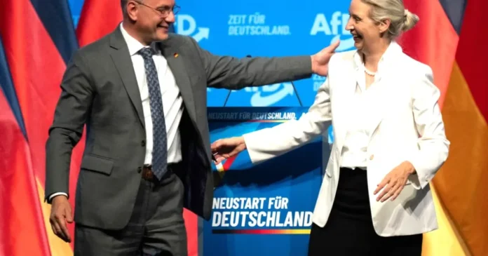 AfD vrea reluarea gazului rusesc și discuții cu emisarul lui Putin