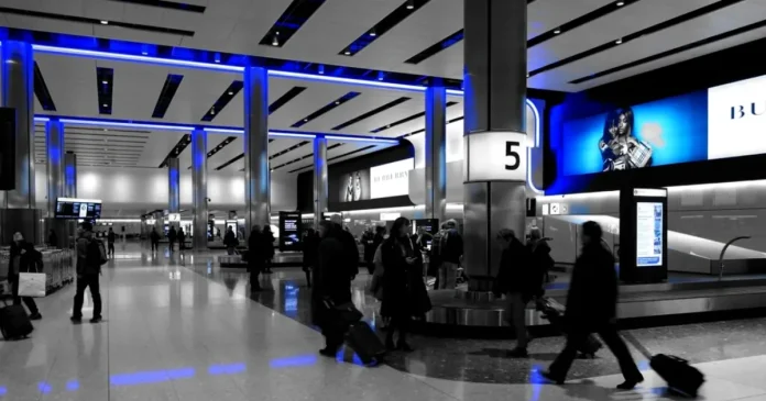 Alertă pe aeroport. Specie invazivă cu risc de dezastru economic, în bagajul unui pasager