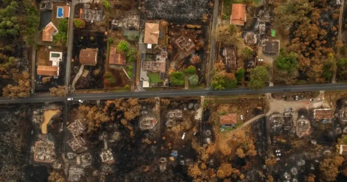 Incendiu record în Franța, stins după 77 de ani. 42.000 ha afectate